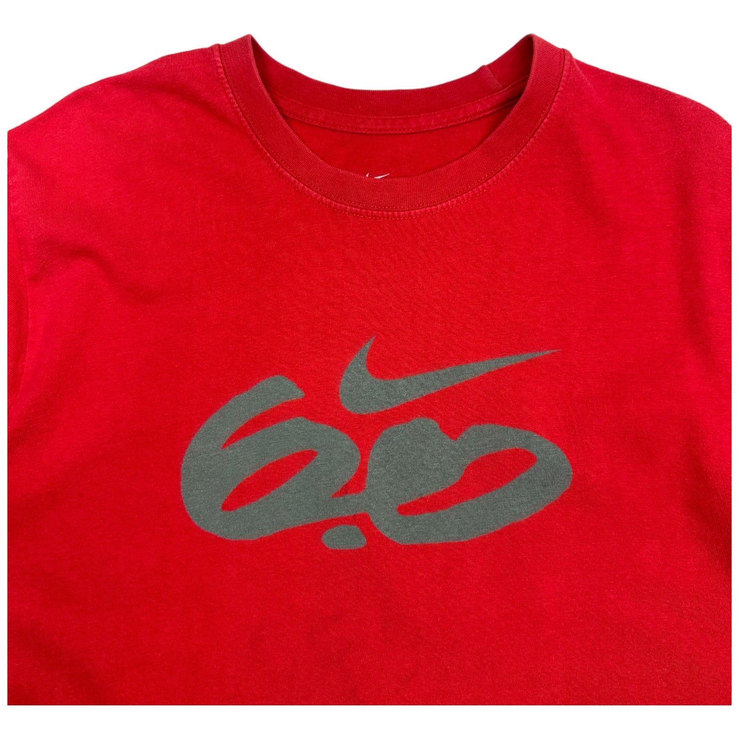 Camiseta Nike 6.0 vintage (M)